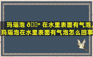 玛瑙泡 🐺 在水里表面有气泡,玛瑙泡在水里表面有气泡怎么回事